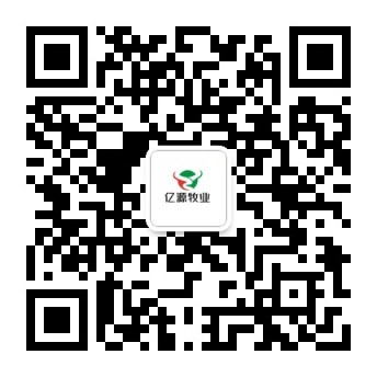 微信公众号二维码